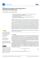 Quantum Uncertainty and Energy Flux in Extended Electrodynamics