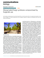 Mutual plant-fungi symbiosis compromised by fungicide use
