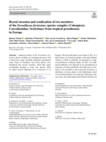 Recent invasion and eradication of two members of the Euwallacea fornicatus species complex (Coleoptera: Curculionidae: Scolytinae) from tropical greenhouses in Europe