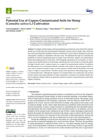 Potential Use of Copper-Contaminated Soils for Hemp (Cannabis sativa L.) Cultivation