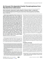An Unusual, His-dependent Family I Pyrophosphatase from Mycobacterium tuberculosis