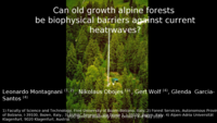 Can old growth alpine forests be biophysical barriers against current heat waves?