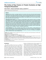 The action of key factors of protein evolution at high temporal resolution