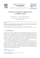 Cell Cycle Control in Eukaryotes: A BioSpi model