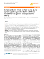 Genetic and diet effects on Ppar-α and Ppar-γ signaling pathways in the Berlin Fat Mouse Inbred line with genetic predisposition for obesity