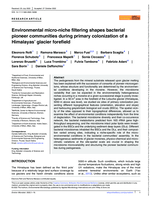 Environmental micro-niche filtering shapes bacterial pioneer communities during primary colonization of a Himalayas' glacier forefield