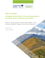 SWOT workshop: Ecological connectivity of dry karst grasslands in the border area of Slovenia and Croatia