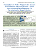 Flexible Screen-Printed Amperometric Sensors Functionalized With Spray-Coated Carbon Nanotubes and Electrodeposited Cu Nanoclusters for Nitrate Detection