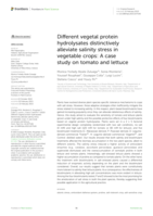 Different vegetal protein hydrolysates distinctively alleviate salinity stress in vegetable crops: A case study on tomato and lettuce