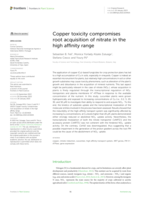 Copper toxicity compromises root acquisition of nitrate in the high affinity range