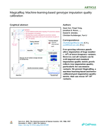 MagicalRsq: Machine-learning-based genotype imputation quality calibration