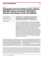 Imputation-powered whole-exome analysis identifies genes associated with kidney function and disease in the UK Biobank