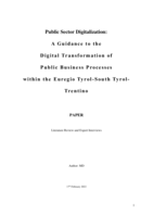Public Sector Digitalization: A Guidance to the Digital Transformation of Public Business Processes within the Euregio Tyrol-South Tyrol-Trentino