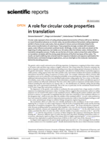 A role for circular code properties in translation