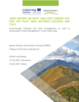 Joint report on swot analysis carried out for the pilot area between Slovenia and Italy: Cross-border Chamois and Ibex management as well as Sustainable Forest Management in the Julian Alps