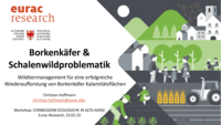 Borkenkäfer & Schalenwildproblematik