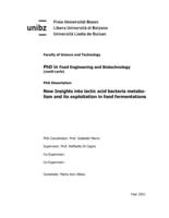 New Insights into lactic acid bacteria metabolism and its exploitation in food fermentations