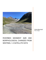 Riverbed sediment size and morphological changes from sentinel-1-2 satellite data