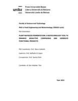 Plant matrices fermentation: a biotechnology tool to enhance bioactive compounds and generate functional products