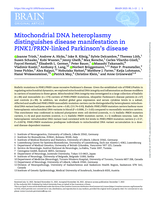 Mitochondrial DNA heteroplasmy distinguishes disease manifestation in PINK1/PRKN-linked Parkinson's disease