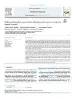 Understanding carbon sequestration, allocation, and ecosystem storage in a grassed vineyard