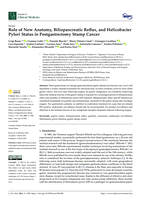 Role of New Anatomy, Biliopancreatic Reflux, and Helicobacter Pylori Status in Postgastrectomy Stump Cancer