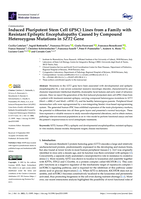 Induced Pluripotent Stem Cell (iPSC) Lines from a Family with Resistant Epileptic Encephalopathy Caused by Compound Heterozygous Mutations in SZT2 Gene