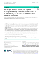 An insight into the role of the organic acids produced by Enterobacter sp. strain 15S in solubilizing tricalcium phosphate: In situ study on cucumber