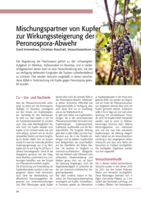 Mischungspartner von Kupfer zur Wirkungssteigerung der Peronospora-Abwehr
