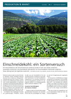 Einschneidekohl: ein Sortenversuch