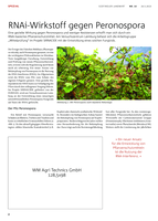 RNAi-Wirkstoff gegen Peronospora