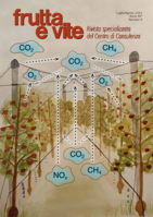 Il sovescio nei vigneti di forte vigorìa