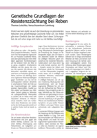 Genetische Grundlagen der Resistenzzüchtung bei Reben
