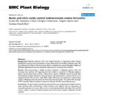 Auxin and nitric oxide control indeterminate nodule formation