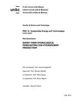 Short-term hydrological forecasting for hydropower production