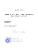 Modelling electricity markets through quantitative methods