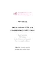 Multilevel dynamics of complexity in institutions