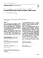 Forest management scenarios drive future dynamics of Mediterranean planted pine forests under climate change