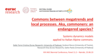 Commons between megatrends and local processes. Aka, commoners: an endangered species? Systems dynamics models applied to Italian Alpine commons