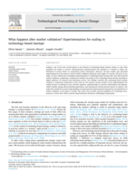 What happens after market validation? Experimentation for scaling in technology-based startups