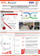 Cerebral blood flow in hypobaric hypoxia: time course and impact of hemoconcentration
