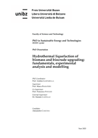 Hydrothermal liquefaction of biomass and biocrude upgrading: fundamentals, experimental analysis and modelling