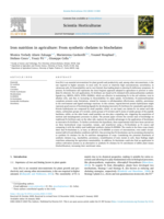 Iron nutrition in agriculture: From synthetic chelates to biochelates
