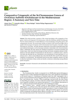 Comparative cytogenetic of the 36-chromosomes genera of Orchidinae subtribe (Orchidaceae) in the Mediterranean region: A summary and new data