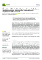 Modulation of Morpho-Physiological and Metabolic Profiles of Lettuce Subjected to Salt Stress and Treated with Two Vegetal-Derived Biostimulants