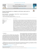 Syngas biomethanation by co-digestion with brewery spent yeast in a lab-scale reactor