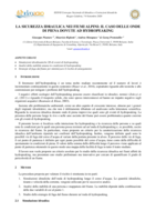 La sicurezza idraulica nei fiumi alpini: il caso delle onde di piena dovute ad hydropeaking