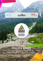 Policy brief: Towards systemic disaster risk reduction in mountains