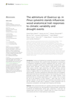 The admixture of Quercus sp. in Pinus sylvestris stands influences wood anatomical trait responses to climatic variability and drought events