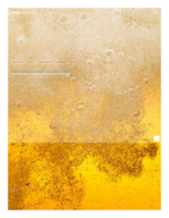 Von altem und neuem Bier